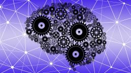 6 Steps for creating Data-Driven Creative in Google Studio 3