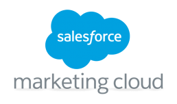 pasted image 0 1 Salesforce Marketing Cloud