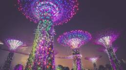5 steps organisations in South-east Asia are using to collect first-party data 44